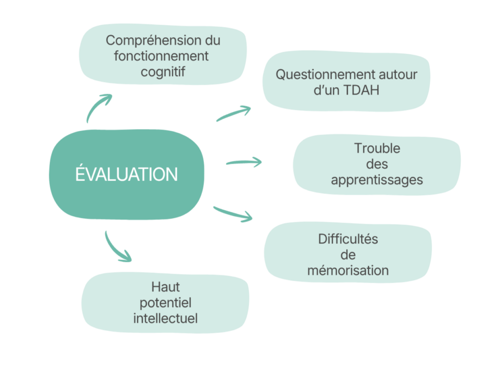 Evaluation : compréhension du fonctionnement cognitif, questionnement autour d'un TDAH, trouble des apprentissages, difficultés de mémorisation, haut potentiel intellectuel