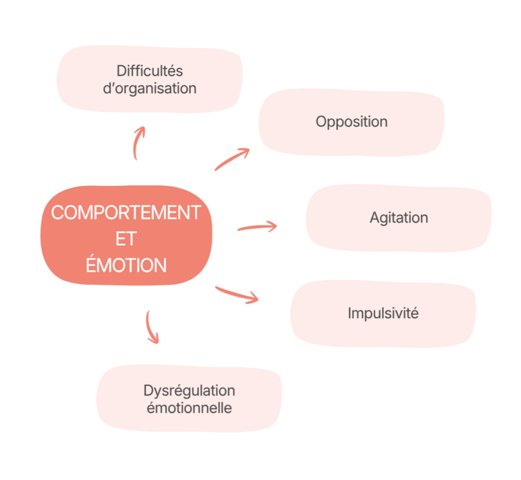 Comportement et émotion : difficultés d'organisation, opposition, agitation, impulsivité, dysrégulation émotionnelle