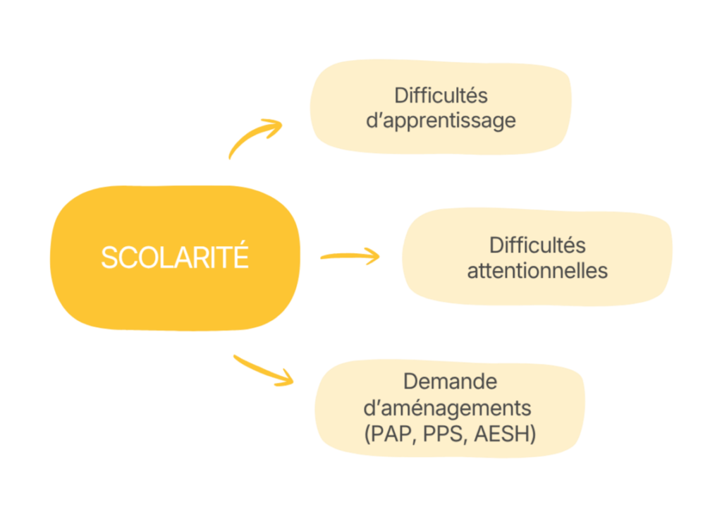 Scolarité : difficultés d'apprentissage, difficultés attentionnelles,, demande d'aménagements (PAP, PPS, AESH)